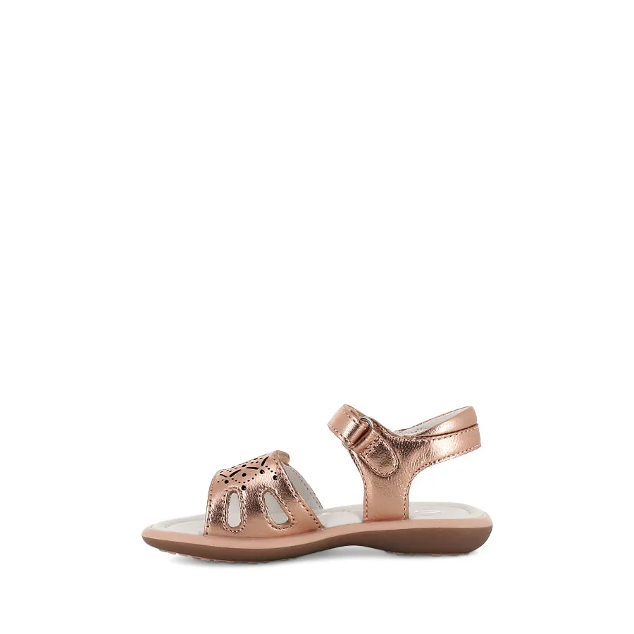 PAVATI E - ROSE GOLD